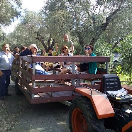 فيلا Agriturismo Il Maresciallo كارياتي المظهر الخارجي الصورة