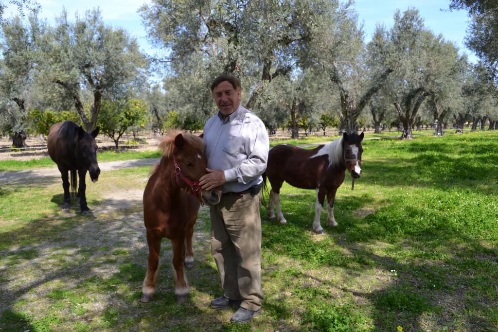 فيلا Agriturismo Il Maresciallo كارياتي المظهر الخارجي الصورة
